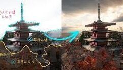 官方玩百家乐的网址-官方玩百家乐的网址，安全、合法与娱乐的完美结合